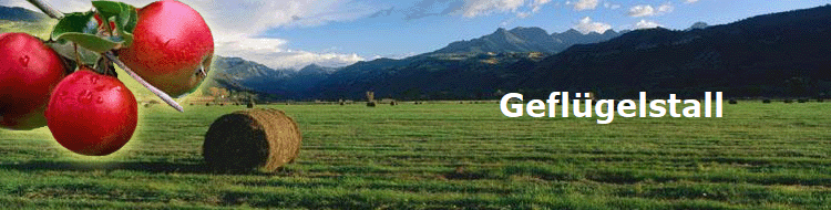 Geflgelstall
