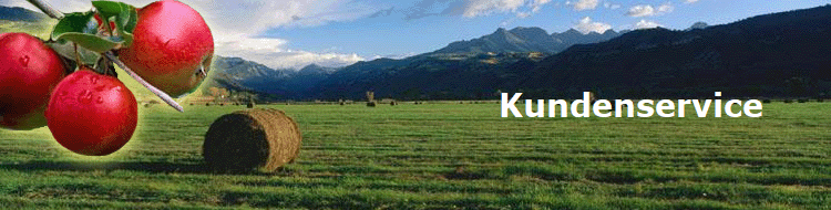 Kundenservice